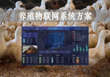 「智慧養(yǎng)殖」數(shù)字經(jīng)濟(jì)時(shí)代到來(lái)，養(yǎng)殖物聯(lián)網(wǎng)系統(tǒng)方案來(lái)了
